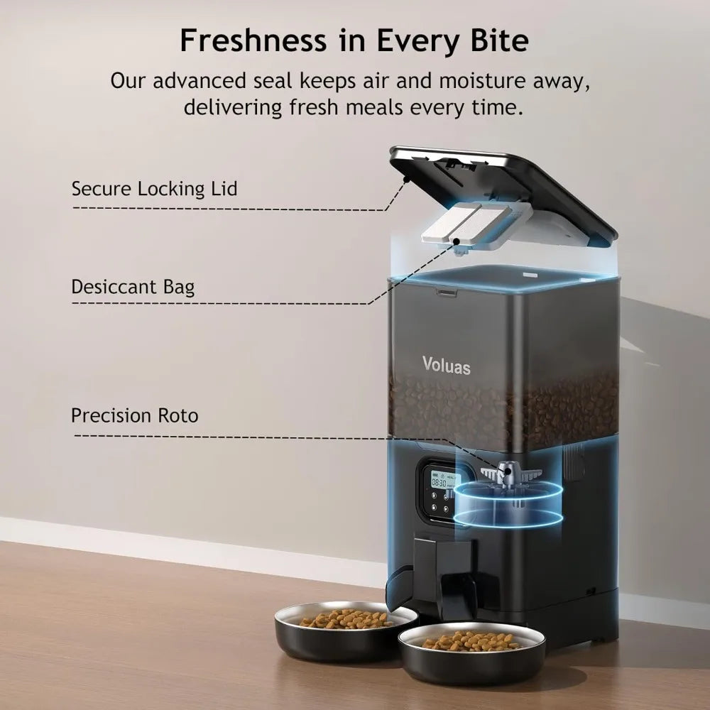 Automatic Cat Feeder for Two Cats with Dual Stainless Bowls