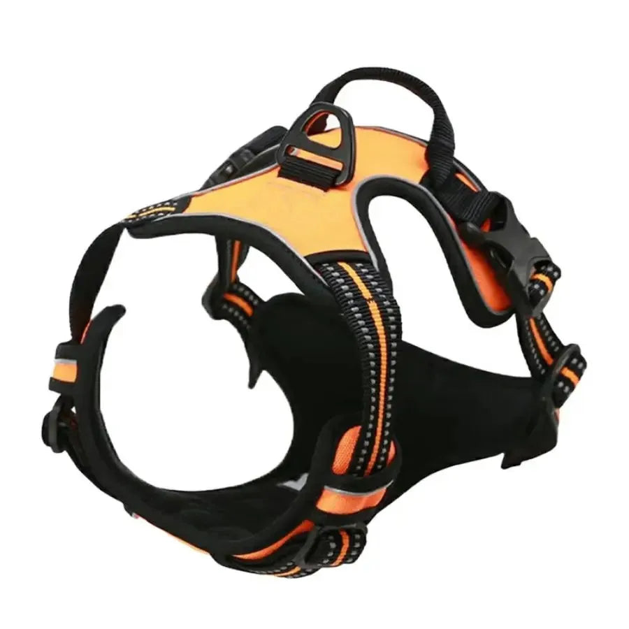 Dog Collar Harness Leash Set All Breeds All Seasons
