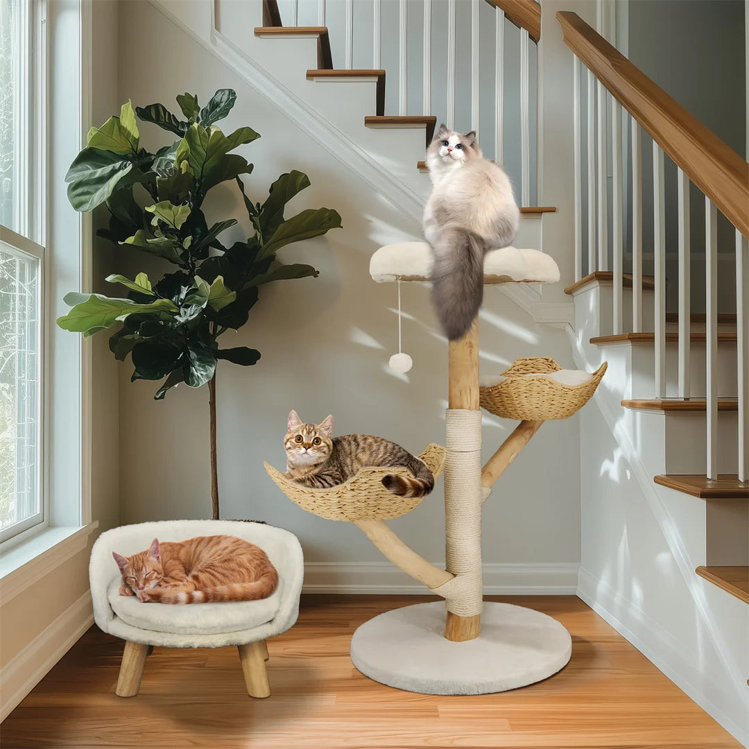 BINGOPAW Modern Cat Tree Climbing Activity Center With Scratching Post