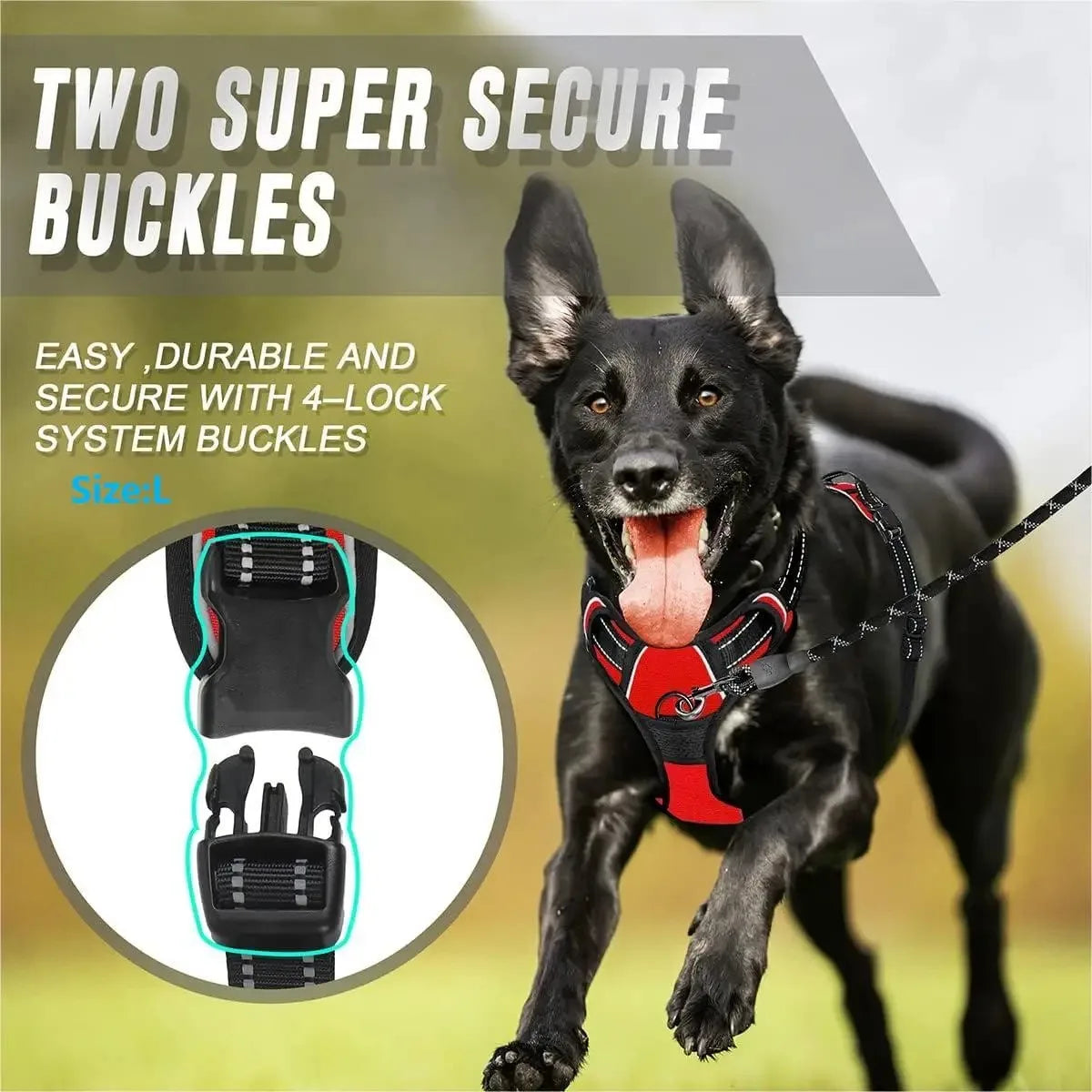 Dog Collar Harness Leash Set All Breeds All Seasons