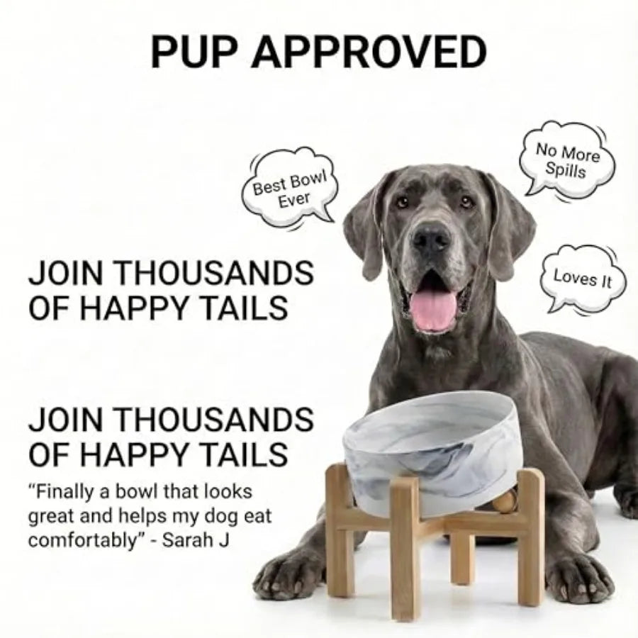 Ceramic Raised Dog Bowl With Bamboo Stand For Small And Medium Dogs And Cats