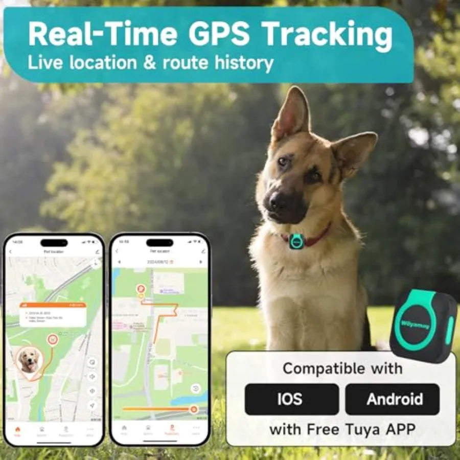 Mini GPS Tracker for Dogs and Cats With Health Monitor Waterproof