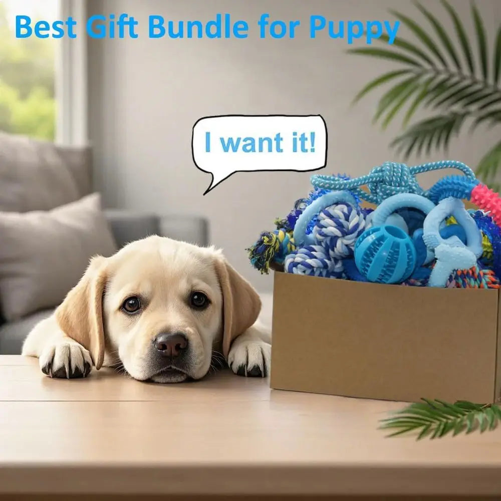 20 Pack Puppy Chew Toys For Small Dogs Teething Bundle
