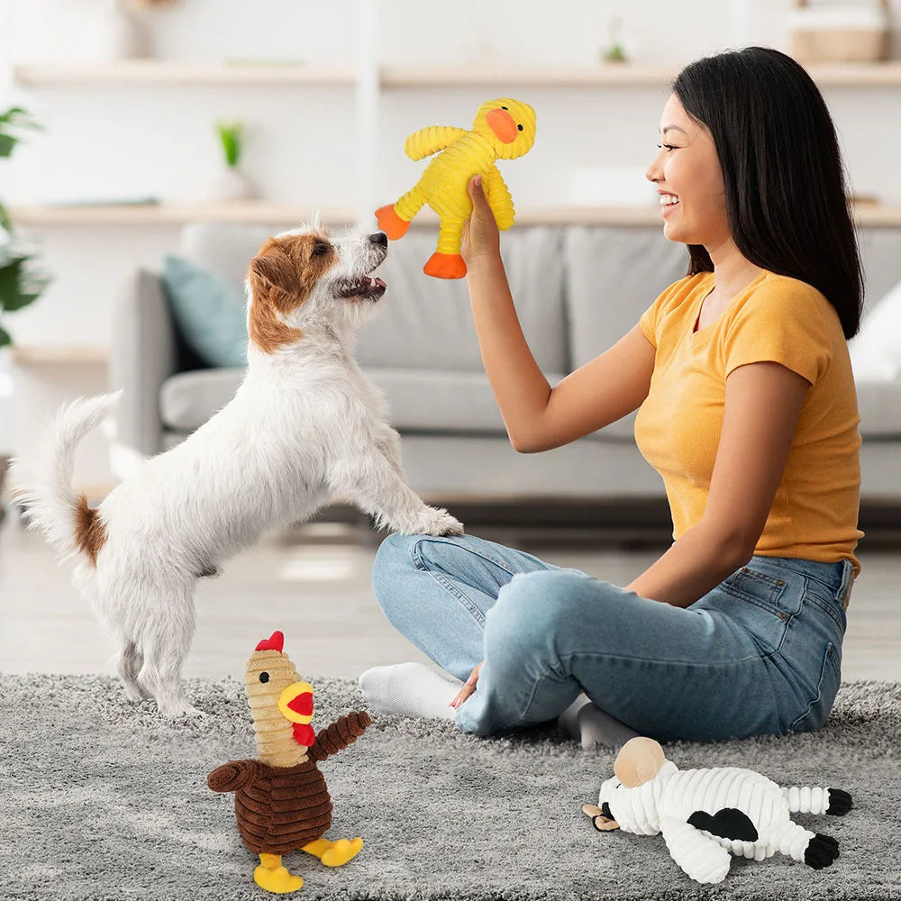 5 Pack Dog Plush Squeaky Toys Bundle for Small to Large Dogs
