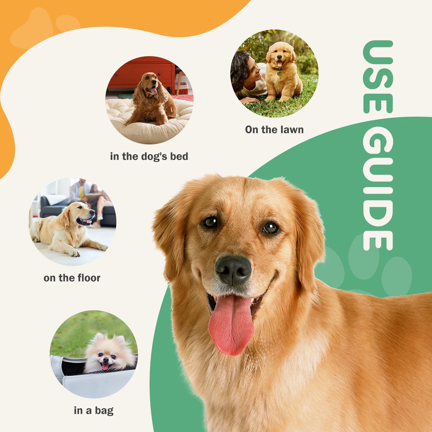 Disposable Underpads For Dogs And Cats Quick Drying