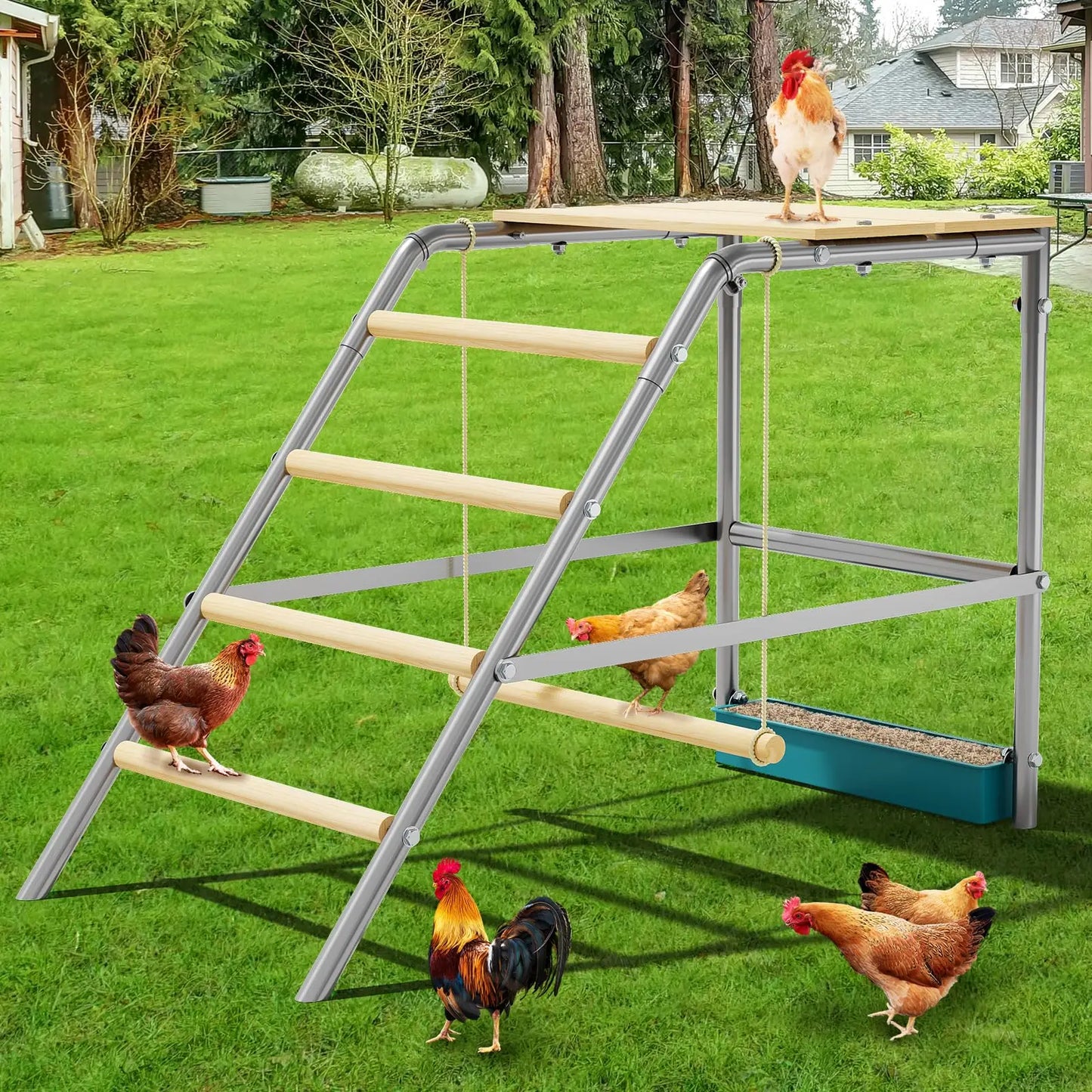 HiMISS Multi-Tier Galvanized Steel Chicken Roost With Wooden Perch For Coop
