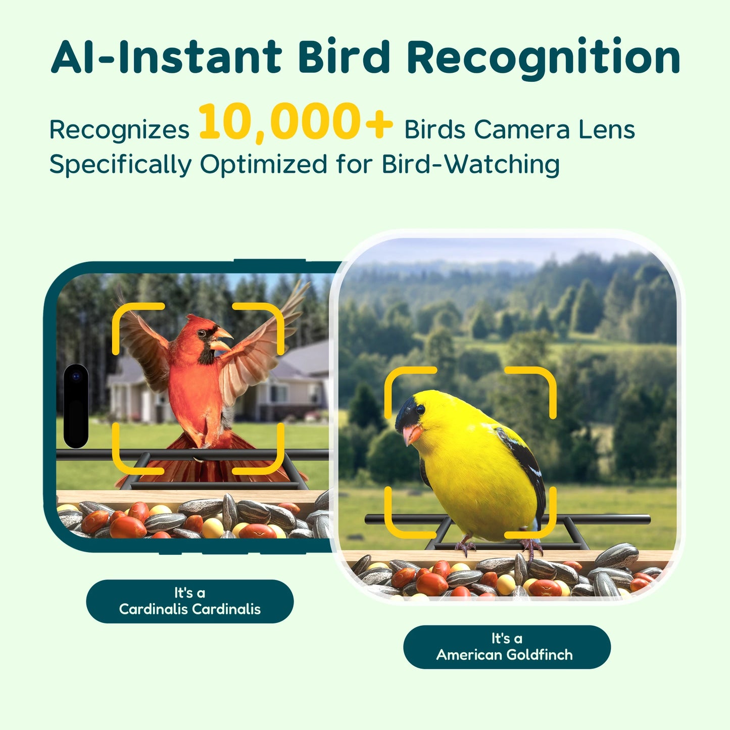 Bird Feeder With Camera Smart Birdwatching Auto Capture Alerts