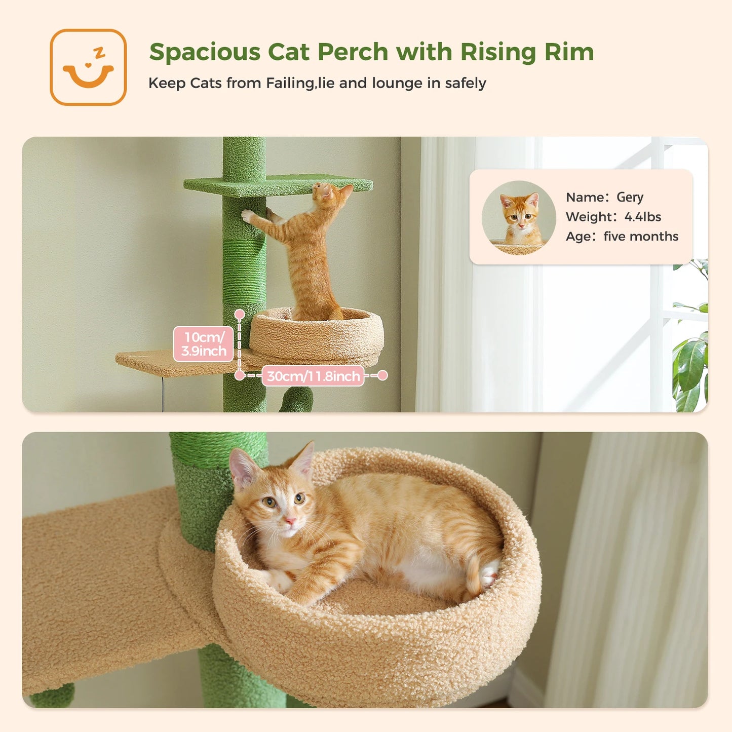 PEQULTI Adjustable Height Cat Tree Floor To Ceiling With Hammock