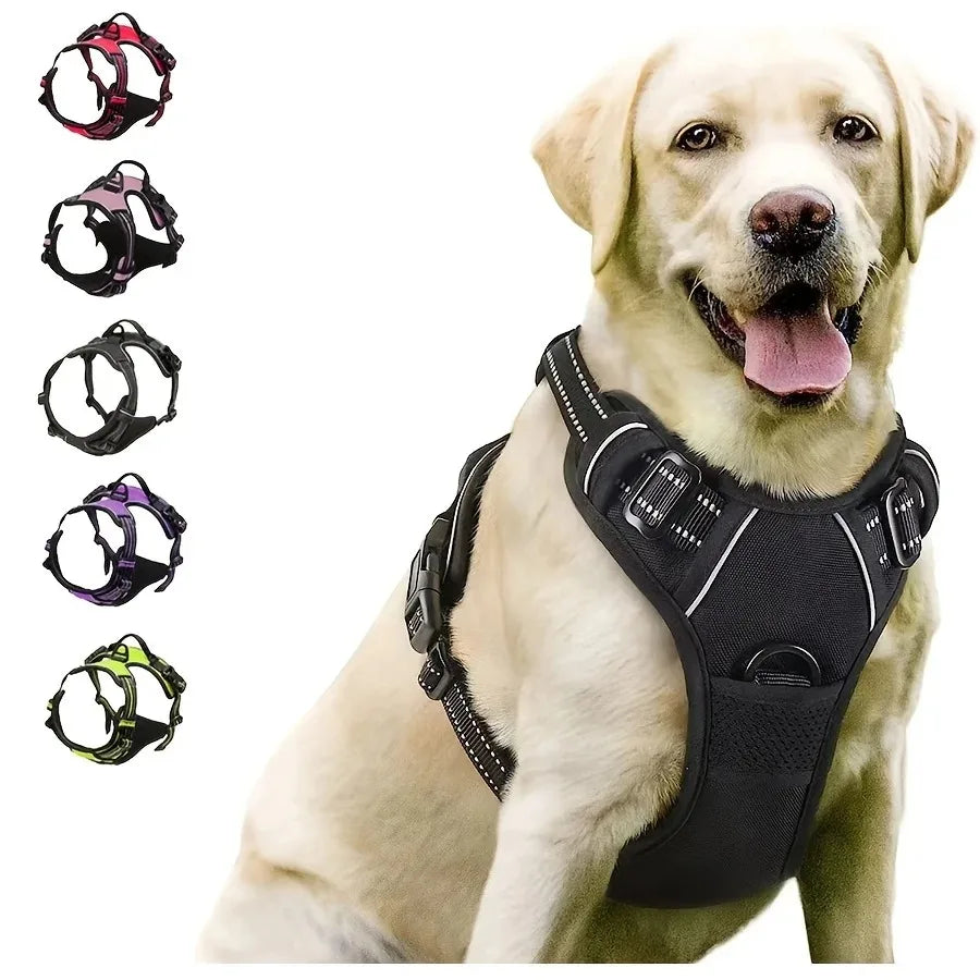 Dog Collar Harness Leash Set All Breeds All Seasons
