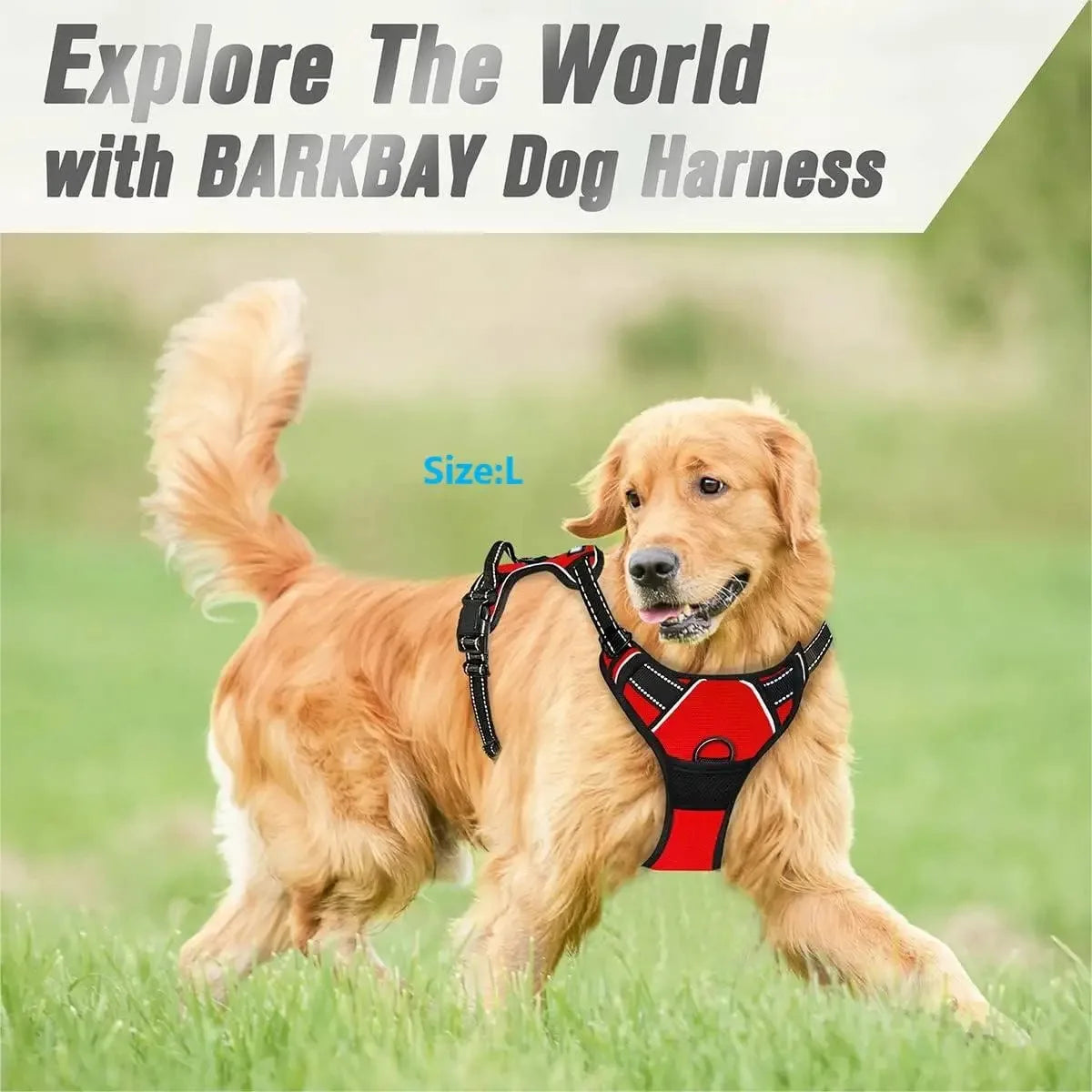 Dog Collar Harness Leash Set All Breeds All Seasons