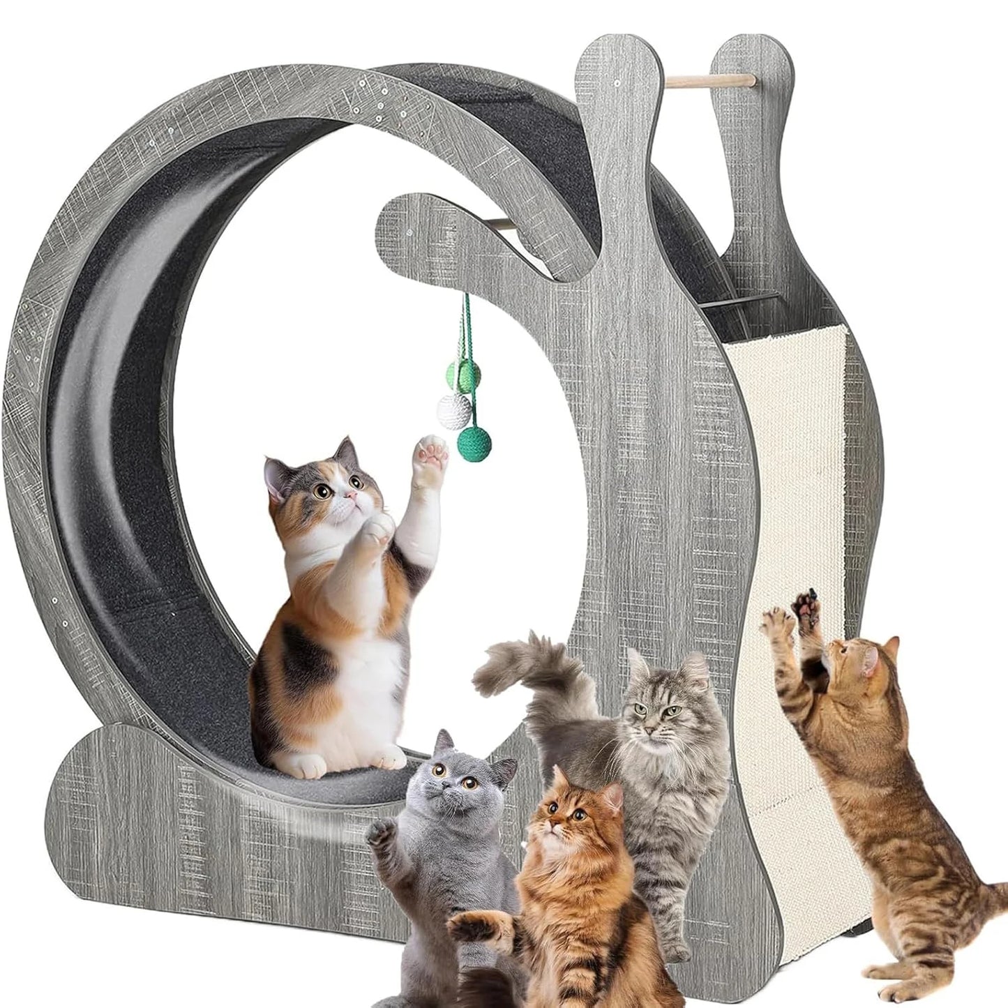 HiMISS Cat Exercise Wheel 45 Inch Indoor Treadmill For Cats