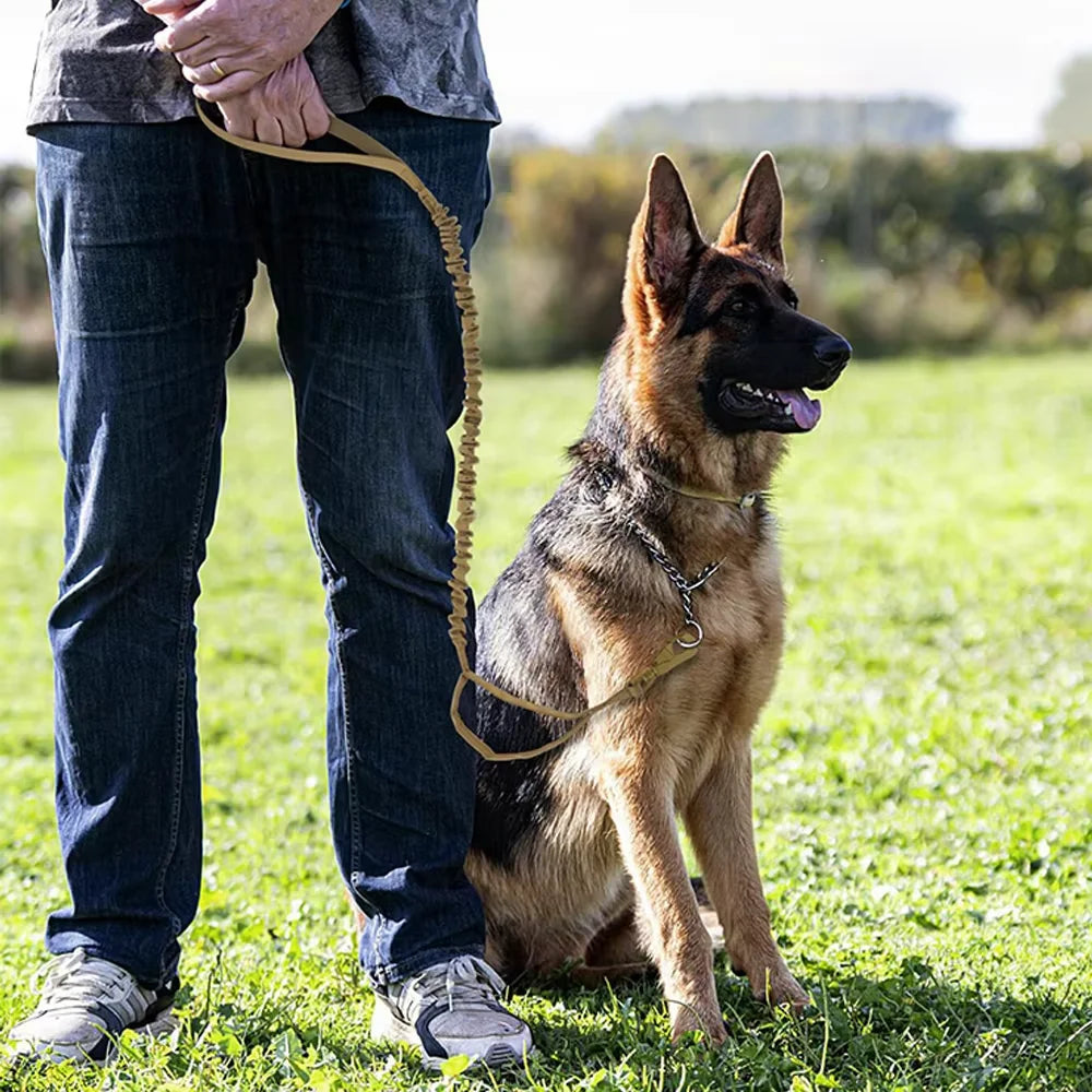 Military Dog Leash With Quick Release Elastic Rope Dual Handles