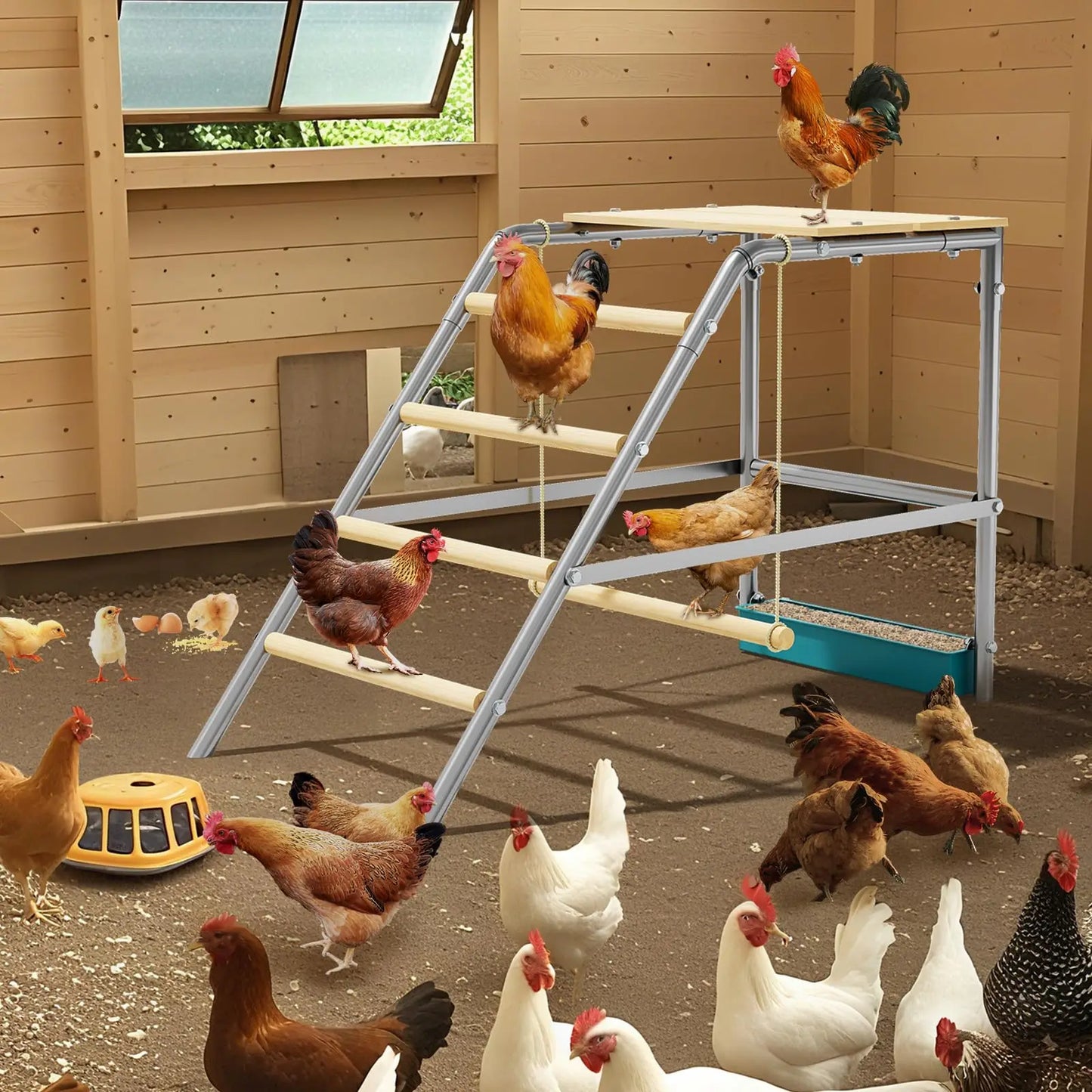 HiMISS Multi-Tier Galvanized Steel Chicken Roost With Wooden Perch For Coop