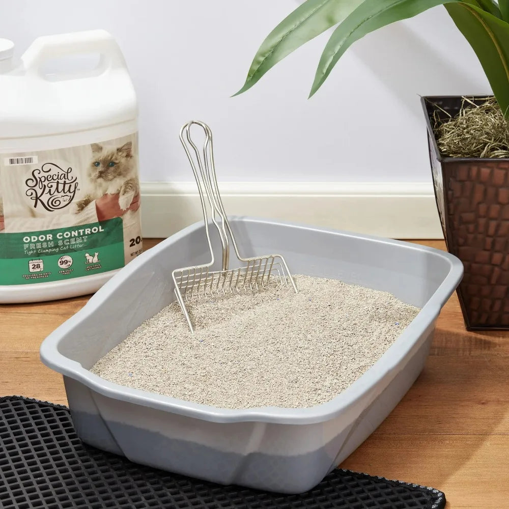 Special Kitty Clumping Cat Litter Fresh Scent 4 Pack