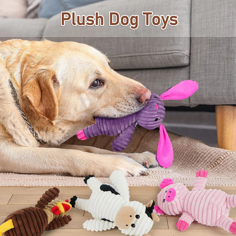 5 Pack Dog Plush Squeaky Toys Bundle for Small to Large Dogs