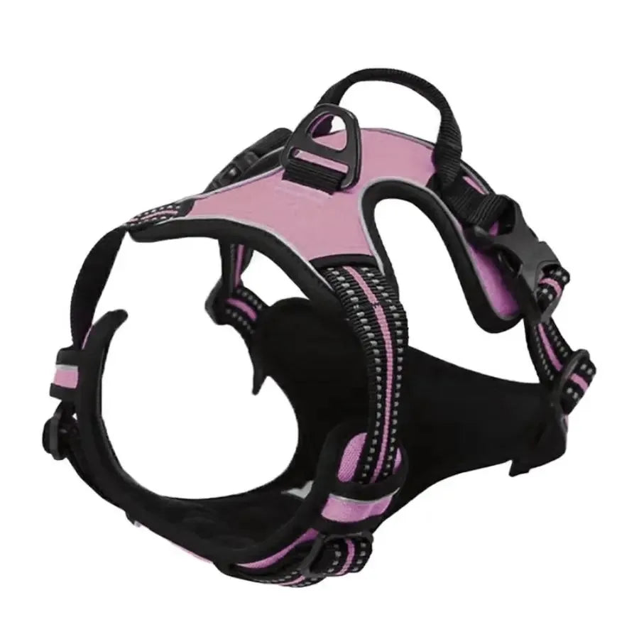 Dog Collar Harness Leash Set All Breeds All Seasons