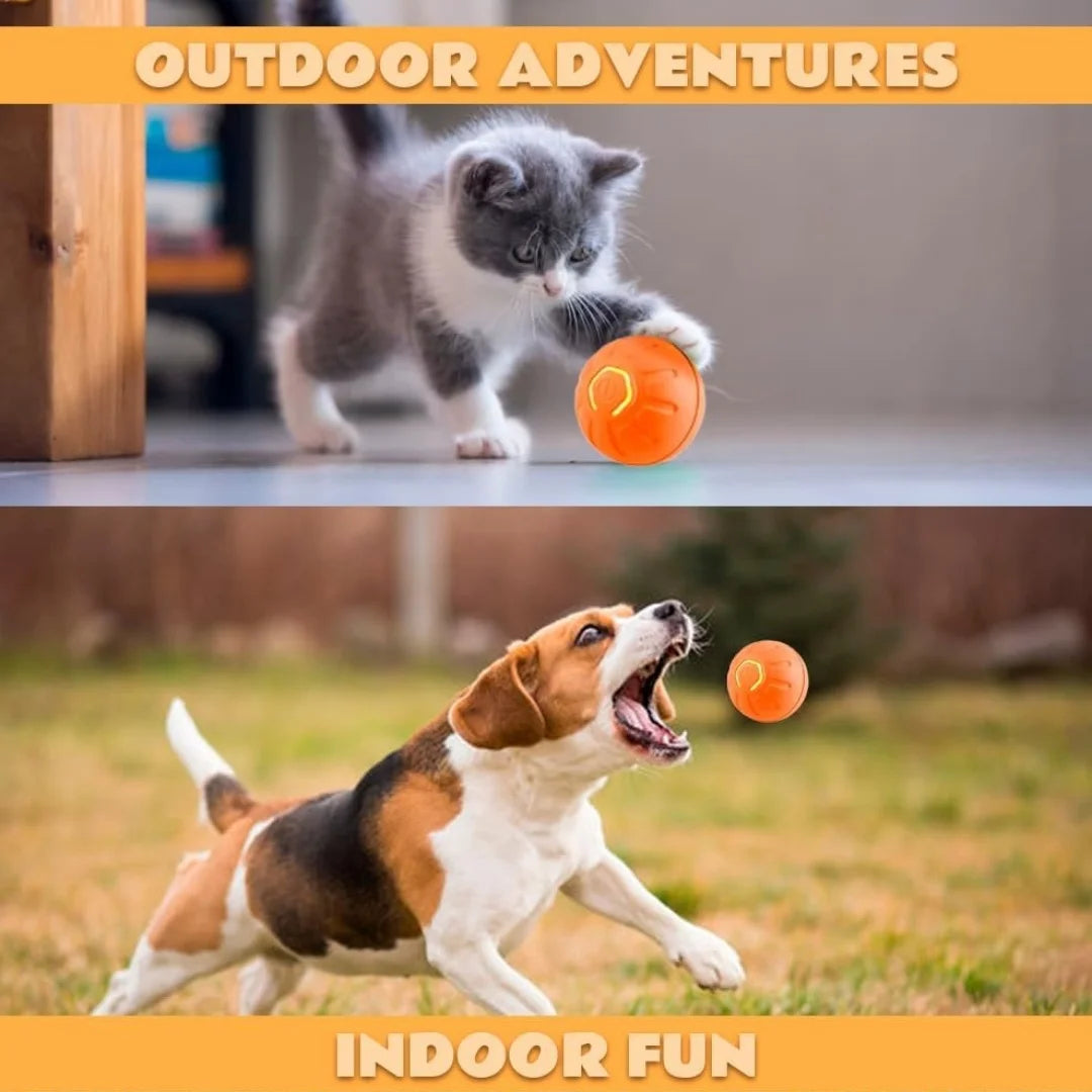 Electric Plastic Pet Ball Bouncing Toy for Dogs and Cats