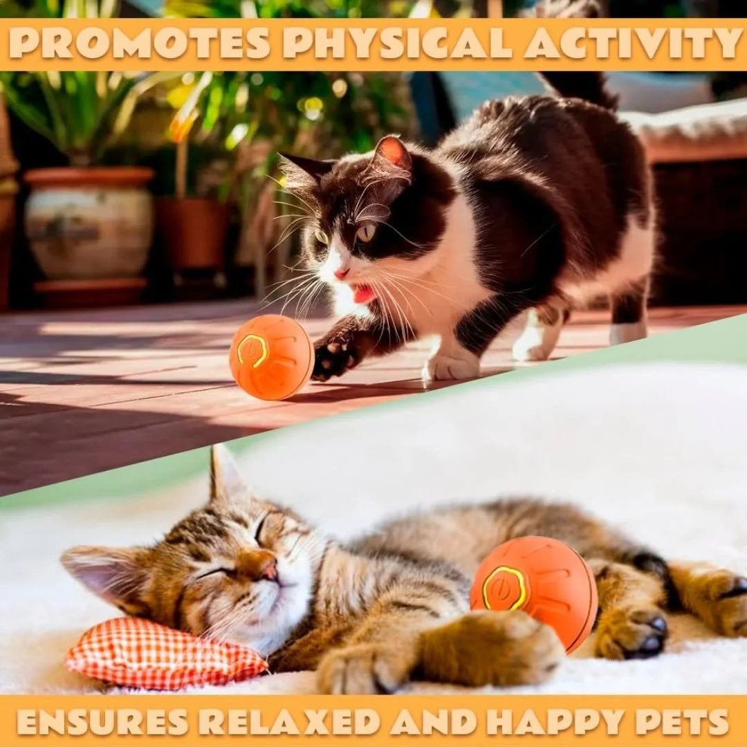 Electric Plastic Pet Ball Bouncing Toy for Dogs and Cats