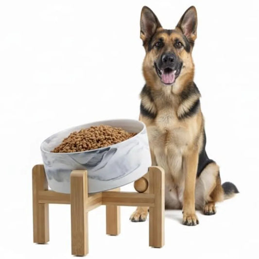 Ceramic Raised Dog Bowl With Bamboo Stand For Small And Medium Dogs And Cats