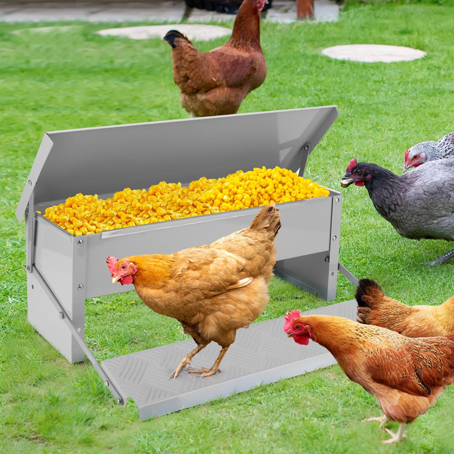Automatic Treadle Chicken Feeder With Weatherproof Lid For Poultry