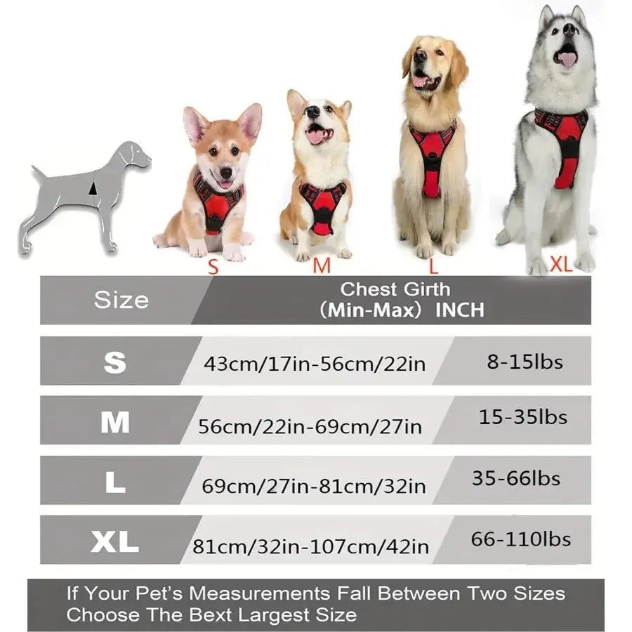 Dog Collar Harness Leash Set All Breeds All Seasons